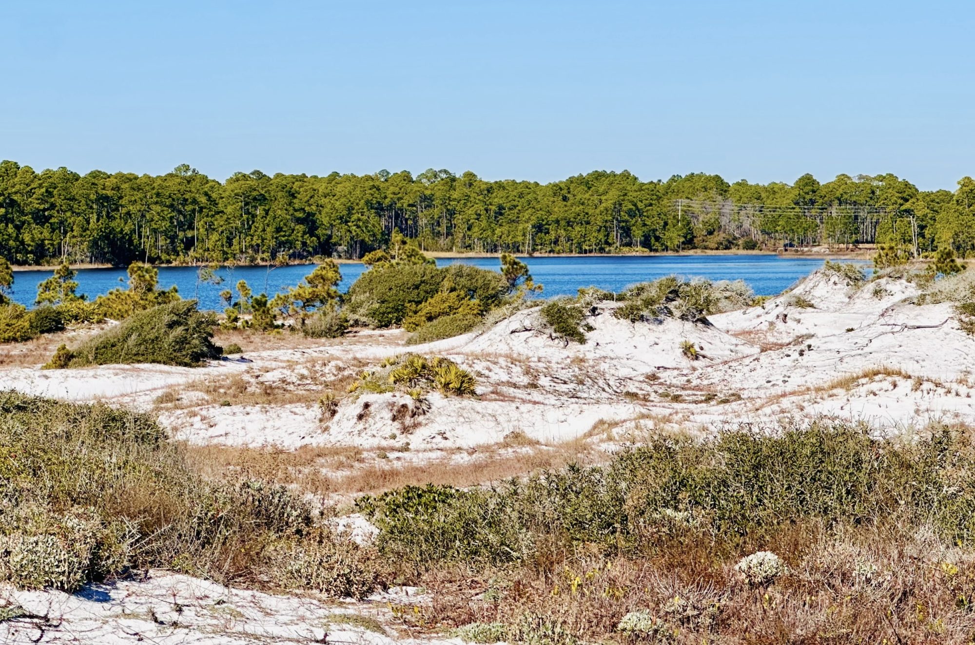 Grayton Beach Florida