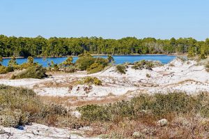 Grayton Beach Florida