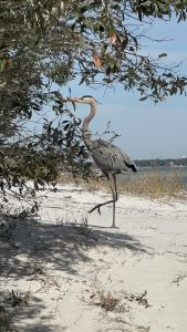 30a outdoor rentals